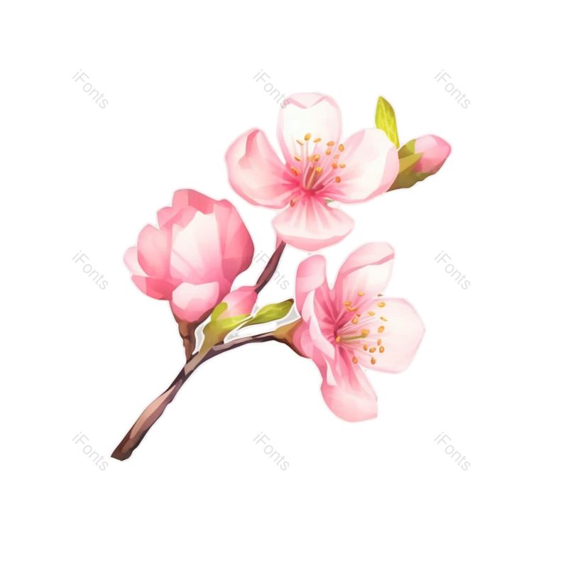 装饰图片,元素元素,小满PNG,插画免抠素材